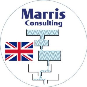 Justin Roff-Marsh Marris Consulting interview